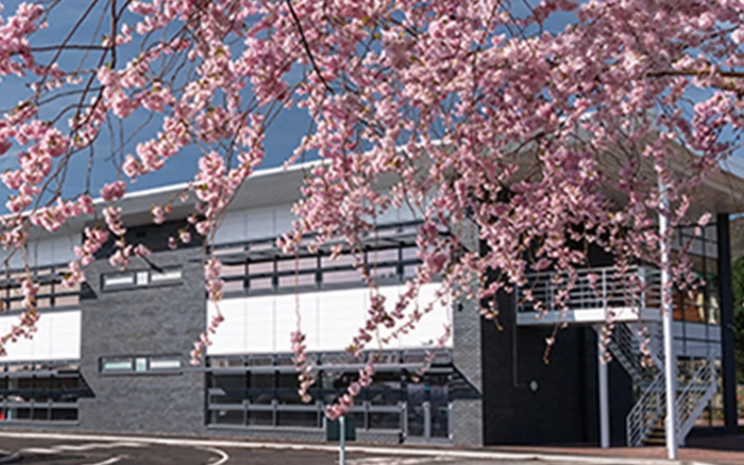 Protecting Commercial Buildings During Heatwaves