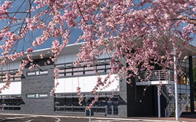 Protecting Commercial Buildings During Heatwaves